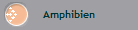 Amphibien