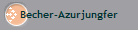 Becher-Azurjungfer