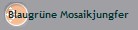 Blaugrne Mosaikjungfer