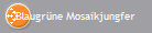 Blaugrne Mosaikjungfer