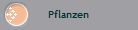Pflanzen